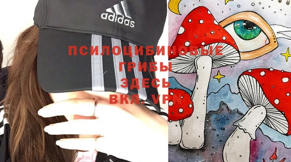 spice Касимов