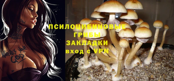 spice Касимов