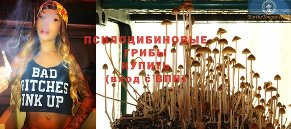 бошки Карпинск
