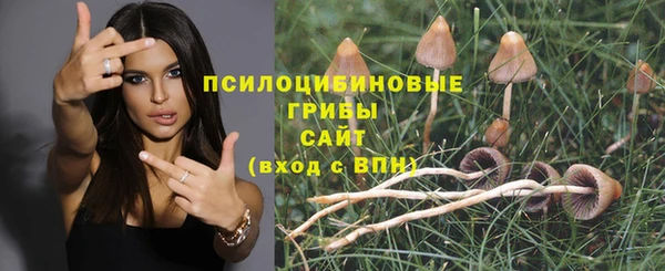 кокаин колумбия Каменногорск