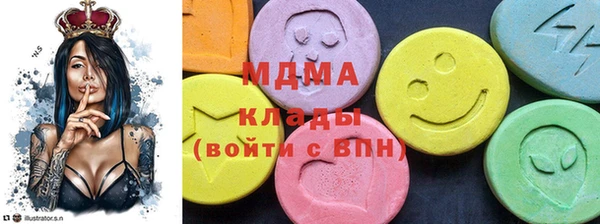 гидра Каменка