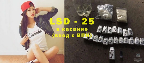 гидра Каменка