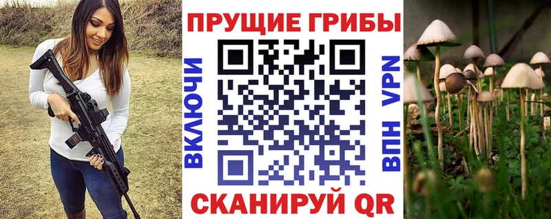Псилоцибиновые грибы прущие грибы  наркотики  Княгинино 